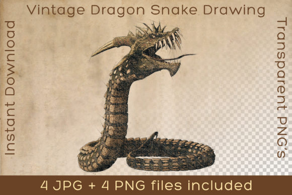 Download Dragon Snake Vintage Fiction Art Drawing - Vintage Collection