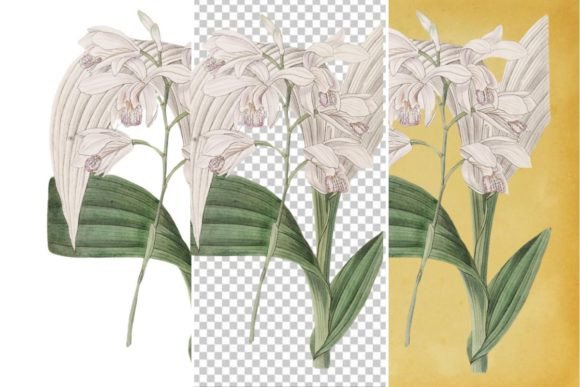 Download Vintage Flower Wall Art Printable - Vintage Collection