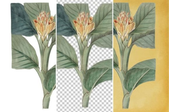 Download Vintage Flower Wall Art Printable - Vintage Collection