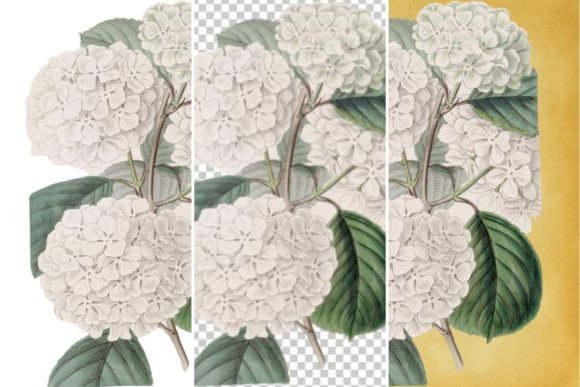 Download Vintage Flower Wall Art Printable - Vintage Collection