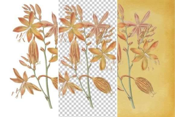 Download Vintage Flower Wall Art Printable - Vintage Collection