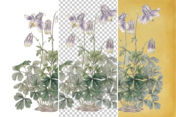 Download Vintage Floral Wall Art Printable - Vintage Collection