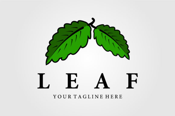 Download Leaf Vintage Logo Vector Illustration - Vintage Collection