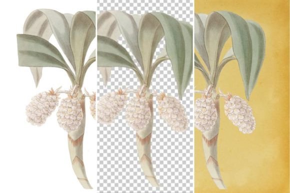 Download Vintage Flower Wall Art Printable - Vintage Collection