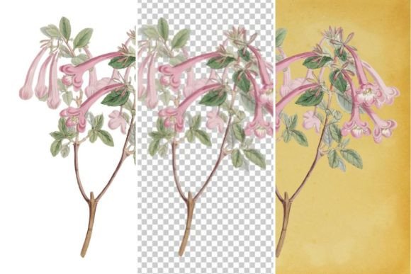 Download Vintage Flower Wall Art Printable - Vintage Collection