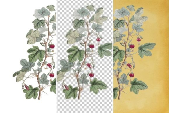 Download Vintage Flower Wall Art Printable - Vintage Collection