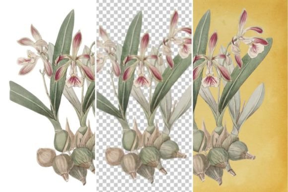 Download Vintage Flower Wall Art Printable - Vintage Collection