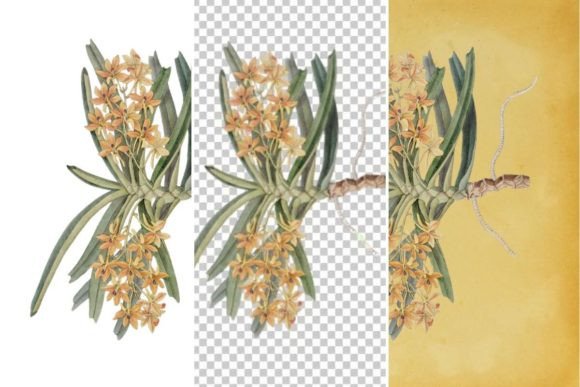Download Vintage Flower Wall Art Printable - Vintage Collection