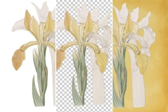 Download Vintage Flower Wall Art Printable - Vintage Collection